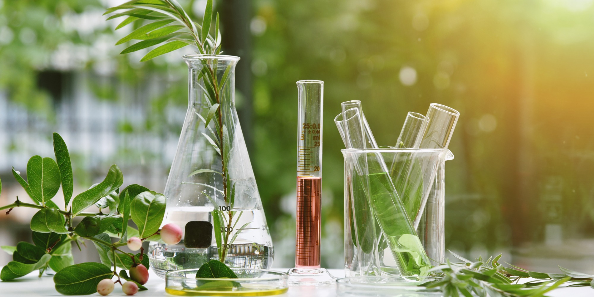 How To Choose Safe Chemicals For Daily Household Use - June 3 2022 Lab Alley Blog