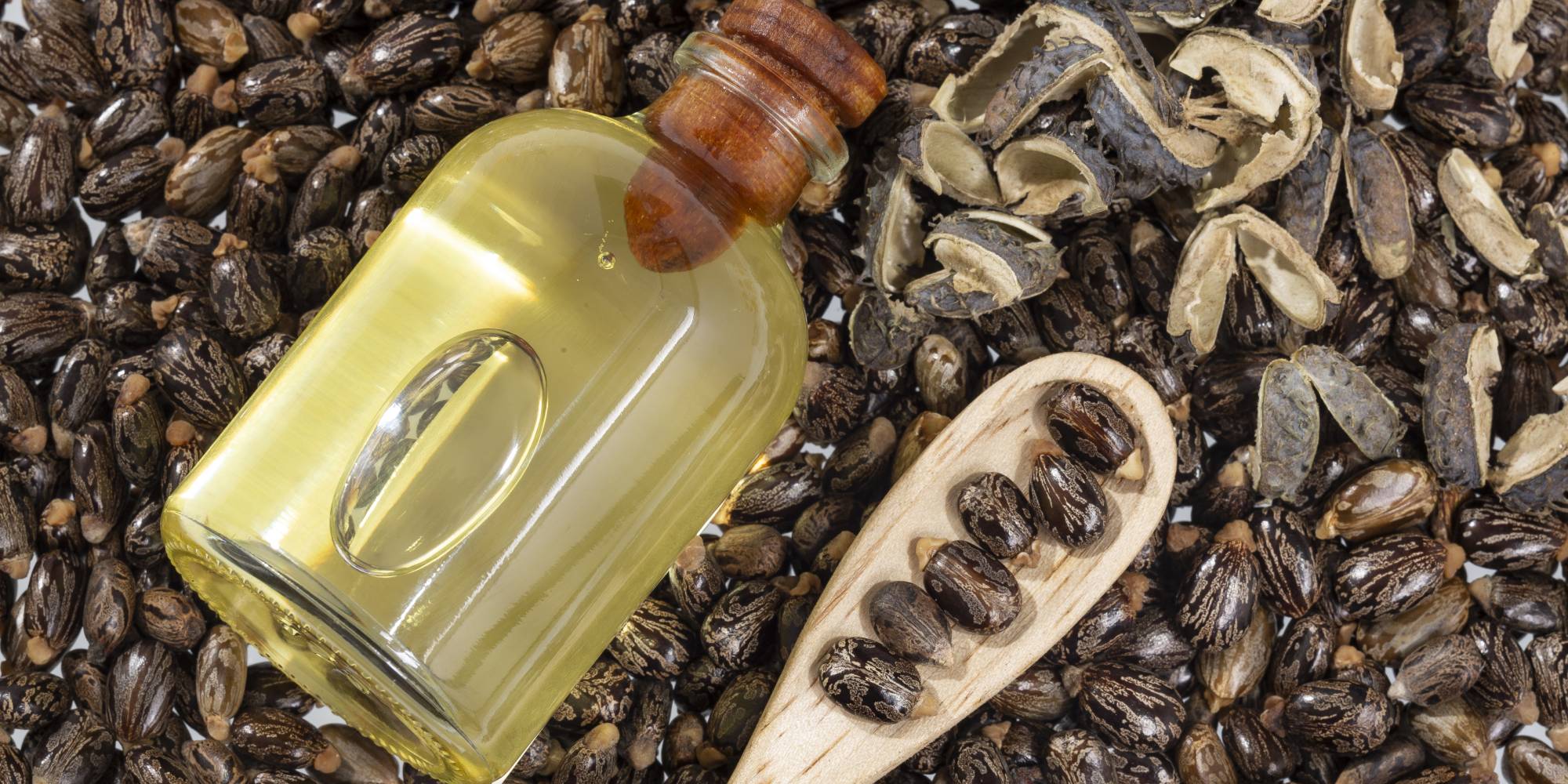 Therapeutic uses of castor oil