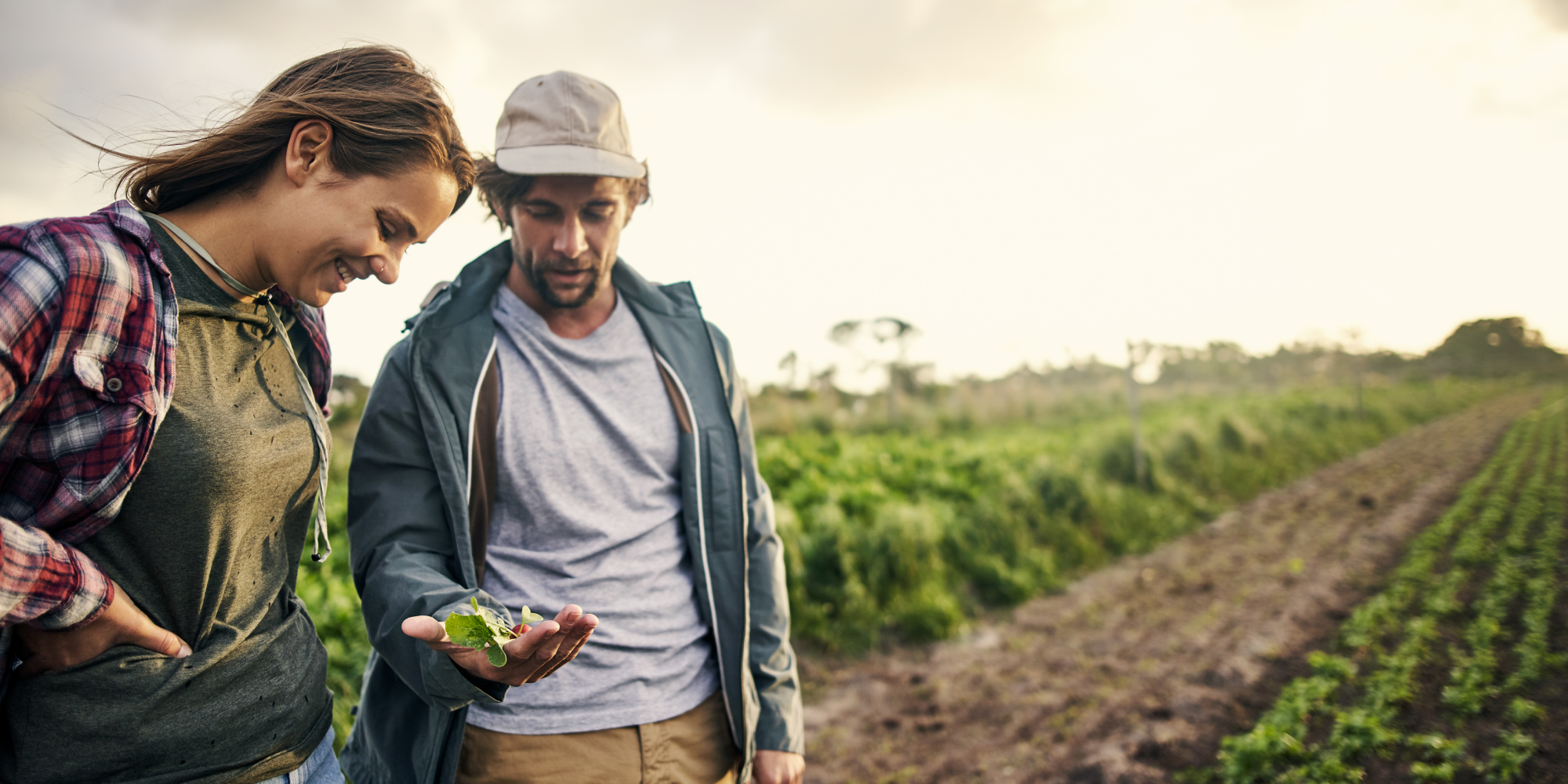 The Key to Winter Crop Survival: Potassium Nitrate